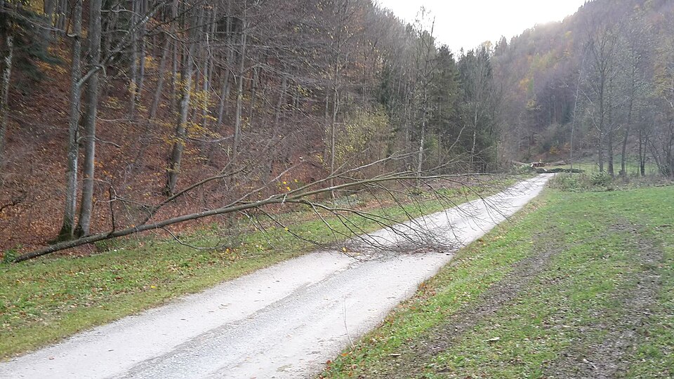 Datei:2017-10-29 Sturmeinsätze (103).jpg