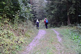 2018-09-14 (704) Member of Österreichischer Bergrettungsdienst and Freiwillige Feuerwehr at Unterabschnitts-Übung at Tiefgrabenrotte, Frankenfels, Austria.jpg