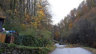 2017-10-30 (101) Einsatz nach Sturm in der Weißenburggegend 4.jpg