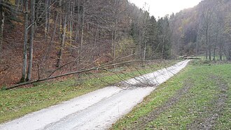 2017-10-29 Sturmeinsätze (103).jpg