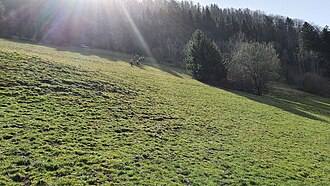 2020-03-27 (100) Rescue of a person in a alpine terrain in Schroffengegend, Loich, Austria.jpg