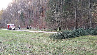 2017-10-29 Sturmeinsätze (106).jpg