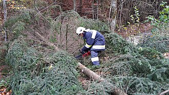 2017-10-29 Sturmeinsätze (107).jpg