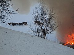2018-03-04 (107) Fire at Ober-Brandgraben in Kirchberg an der Pielach.jpg