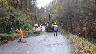 2017-10-30 (105) Einsatz nach Sturm in der Weißenburggegend 4.jpg