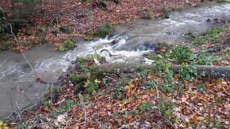 2017-10-29 Sturmeinsätze (104).jpg