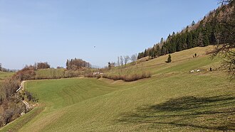 2020-03-27 (114) Rescue of a person in a alpine terrain in Schroffengegend, Loich, Austria.jpg